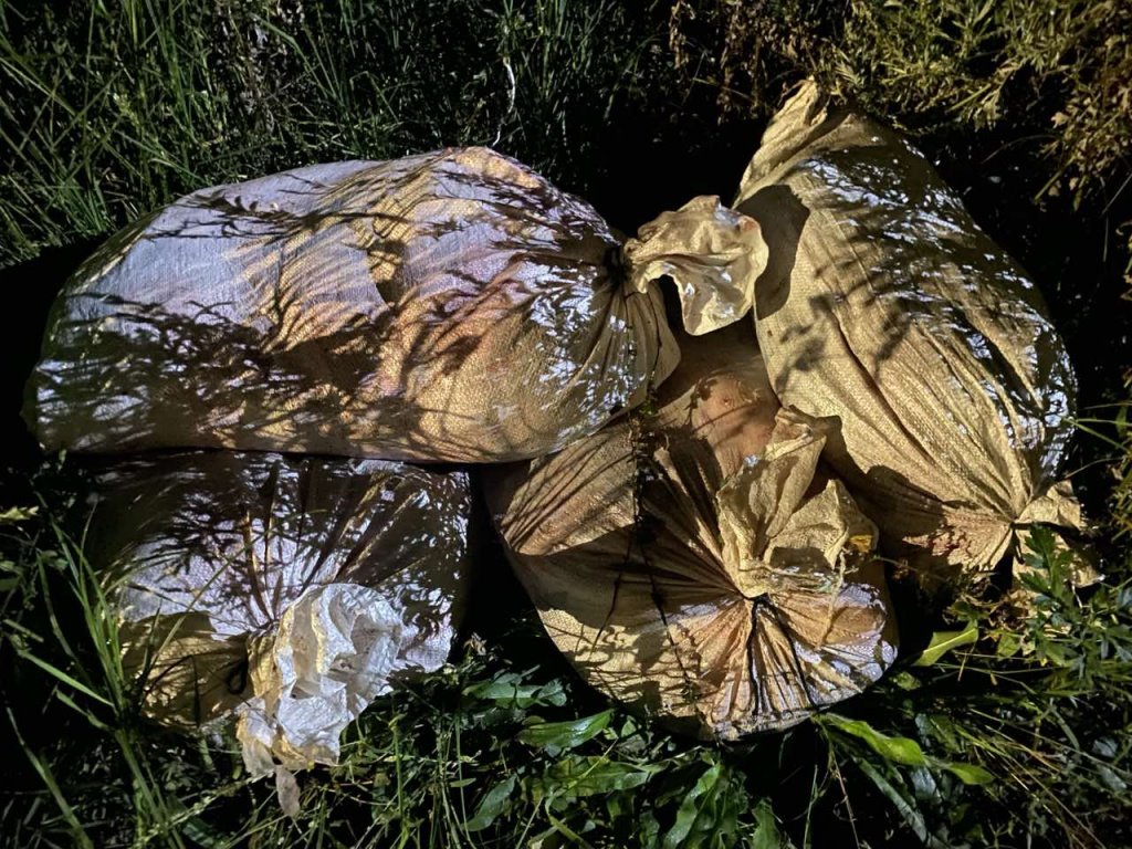 «Наловили» 122 кг рыбы. На одной из рек в Беларуси поймали организованную группу браконьеров