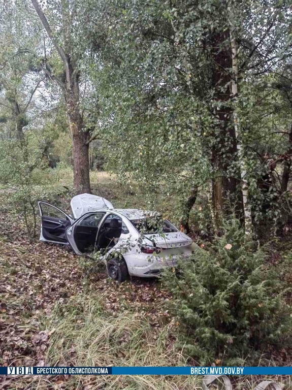 Пассажир погиб, водитель госпитализирован. В Малоритском районе произошло смертельное ДТП