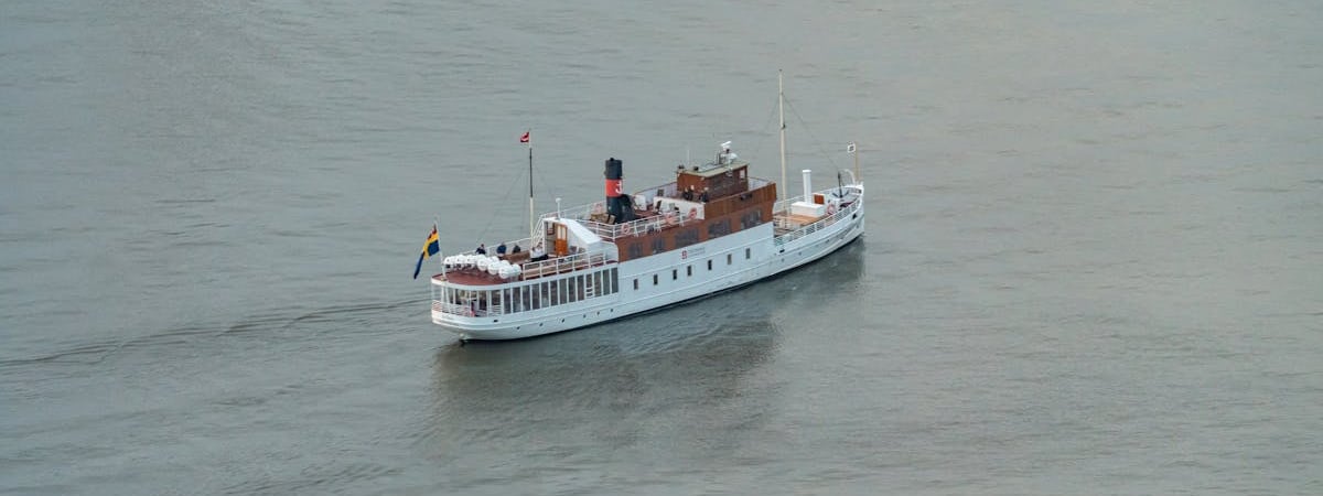 Первый случай оспы обезьян зафиксировали в Швеции