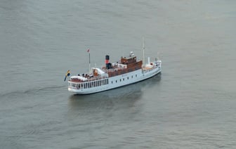 Первый случай оспы обезьян зафиксировали в Швеции