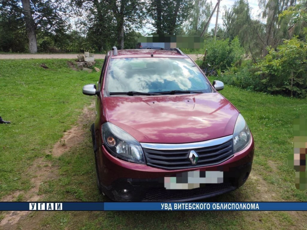 В Толочинском районе водитель сбил односельчанина и скрылся с места ДТП. Фото ГАИ