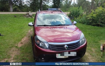 В Толочинском районе водитель сбил односельчанина и скрылся с места ДТП