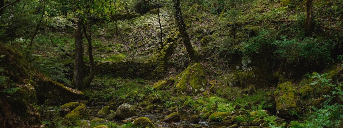 ЕС выделяет Молдове €1,8 млрд финансовой поддержки