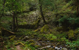 ЕС выделяет Молдове €1,8 млрд финансовой поддержки