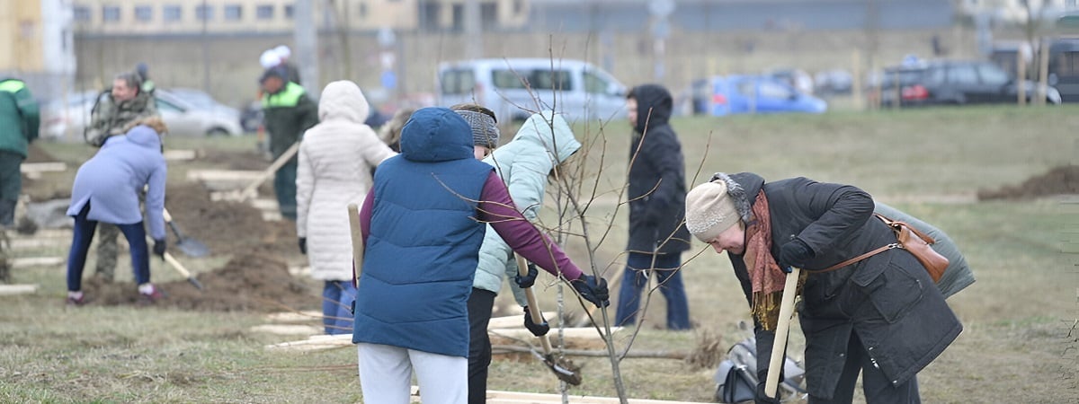 В Минтруда рассказали, кого из белорусов не пустят на субботник — Полезно