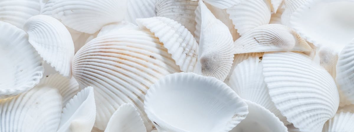 Российские войска обстреляли село Липцы в Харьковской области, погибли три человека