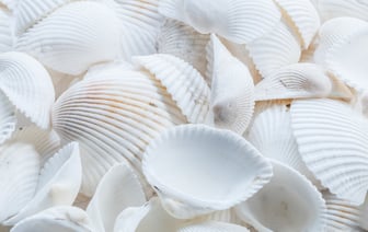 Российские войска обстреляли село Липцы в Харьковской области, погибли три человека