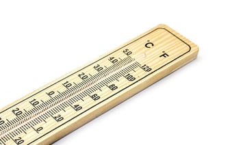 В Беларусь пришло необычайное тепло: температурные рекорды и пожары