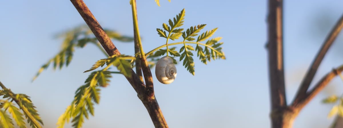 Два человека погибли в результате обстрела Донецкой области