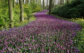 Открытие весенне-летнего сезона в парке Полоцка