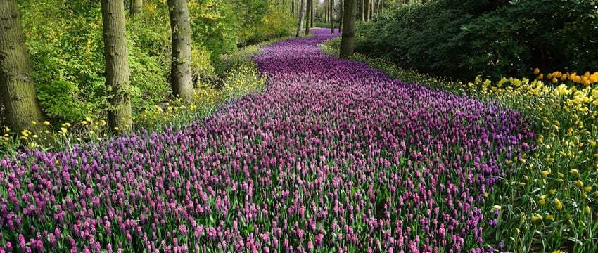 Открытие весенне-летнего сезона в парке Полоцка