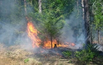 Чрезвычайная пожарная опасность в Гомельской области