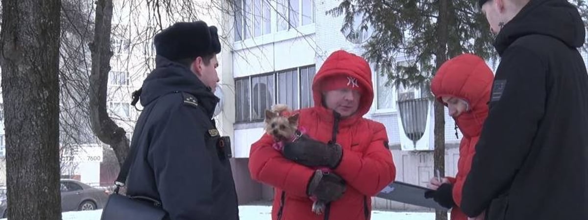 Гродненская милиция наказала белорусов, которые «неправильно» гуляли с собаками. А как правильно?