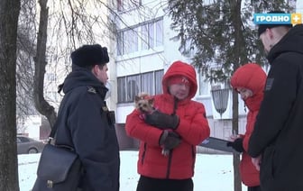 Гродненская милиция наказала белорусов, которые «неправильно» гуляли с собаками. А как правильно?