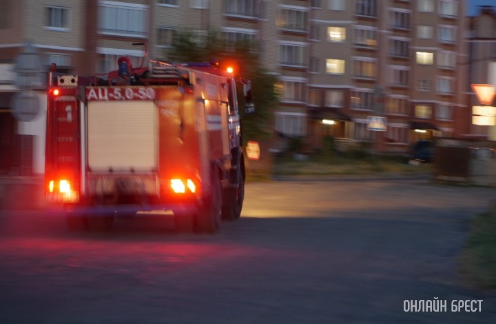 Фото носит иллюстративный характер