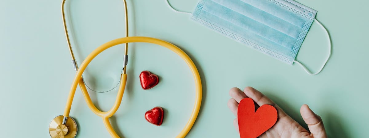 Как спасти помидоры от фитофторы? Раствор с этими растениями сработает как антибиотик — Полезно