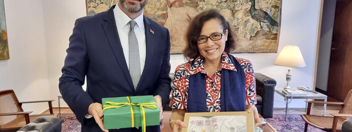 У министра иностранных дел Сергея Алейника свой «Алейник»