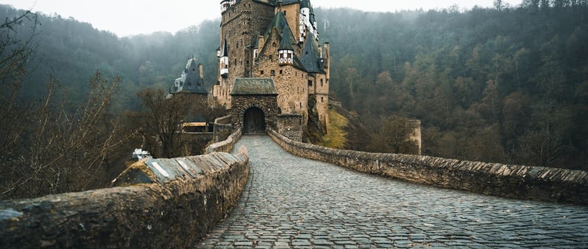 В Полоцке открылась торговая площадка «Лесной домик». Что там можно купить?