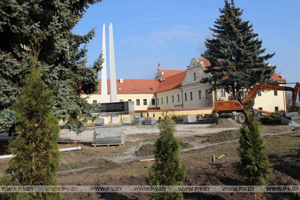 «Бедная сова сидела прямо на бордюре». В центре Пинска вырубили ряд красивейших елей