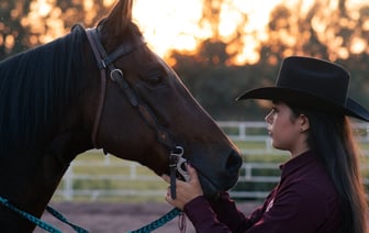 Предотвращение ударов беспилотниками по Минску