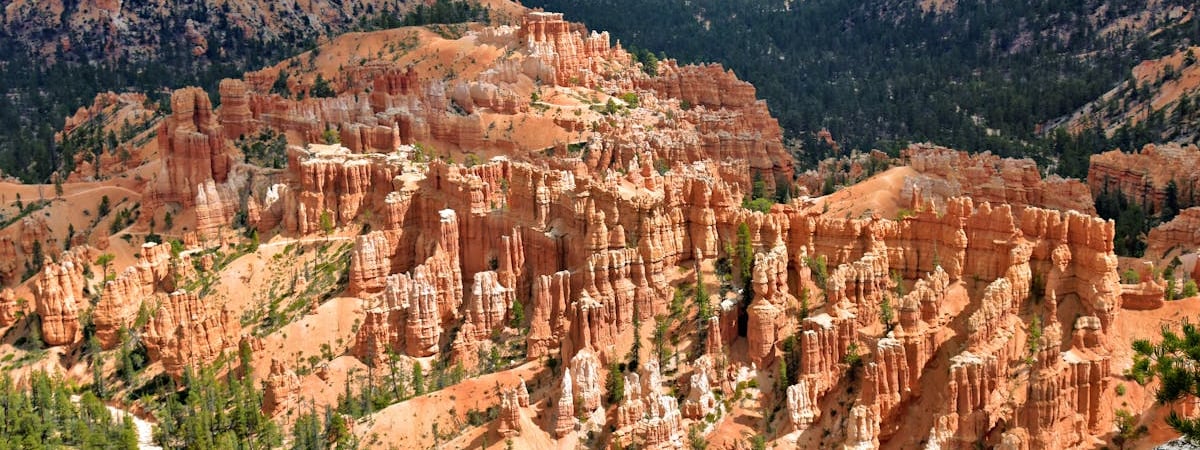 В США третий день отменяют более тысячи авиарейсов из-за глобального технического сбоя