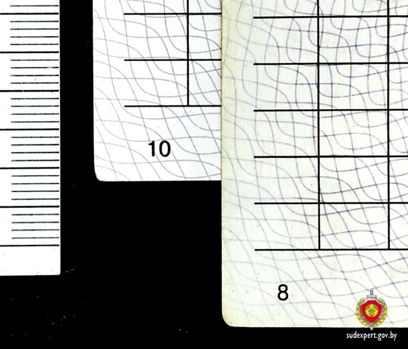 Белоруска заменила листы в трудовой книжке, чтобы скрыть прогулы