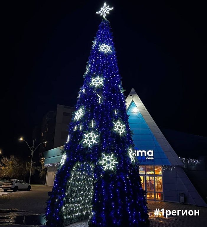Рассказываем, где ещё в Бресте установили новогодние ёлки