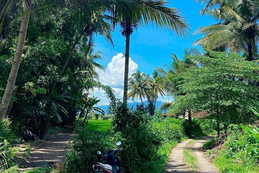 Белоруска уехала в Индонезию и решила не возвращаться