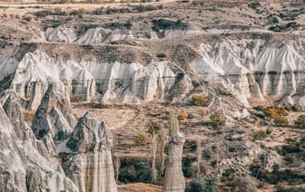 В Брестской области за 11 месяцев насчитали 583 «экстремистских преступления»