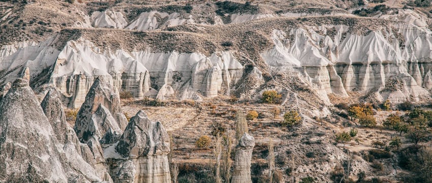 В Брестской области за 11 месяцев насчитали 583 «экстремистских преступления»