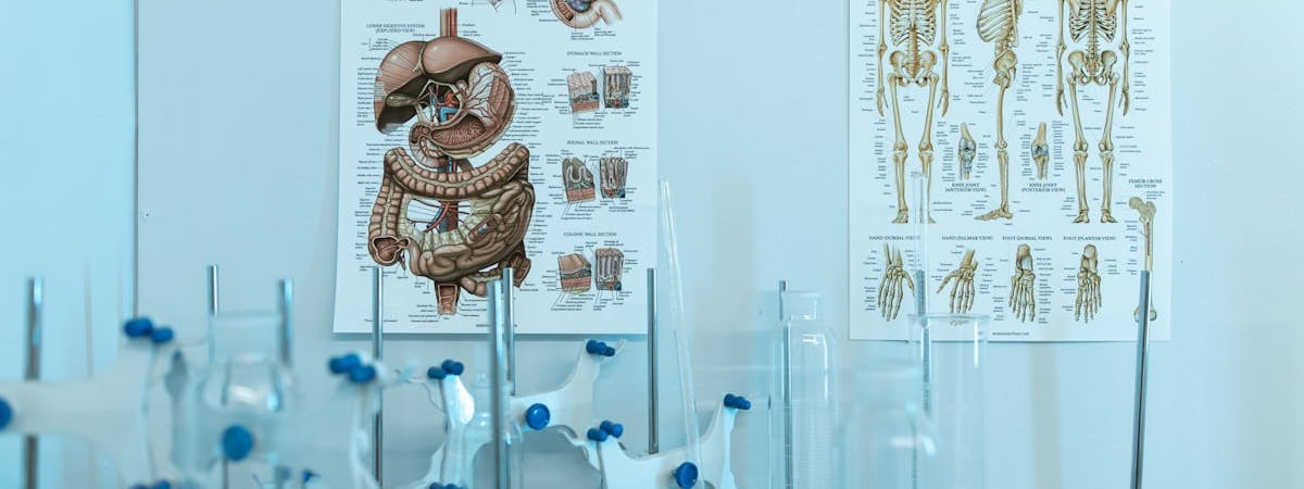 Беларусь и РФ 12 августа проведут в Москве консультации "по безопасности"