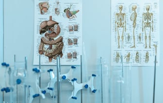 Беларусь и РФ 12 августа проведут в Москве консультации "по безопасности"