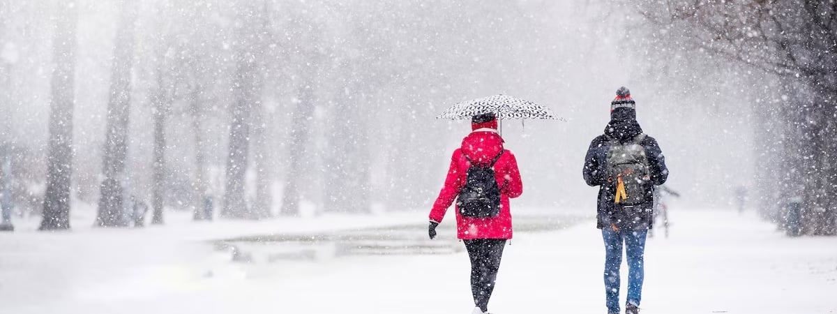 Какой будет зима 2024/2025 в Беларуси? Синоптики рассказали, как на морозы и снегопады повлияет слабый полярный вихрь — Фото