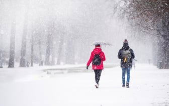 Какой будет зима 2024/2025 в Беларуси? Синоптики рассказали, как на морозы и снегопады повлияет слабый полярный вихрь — Фото