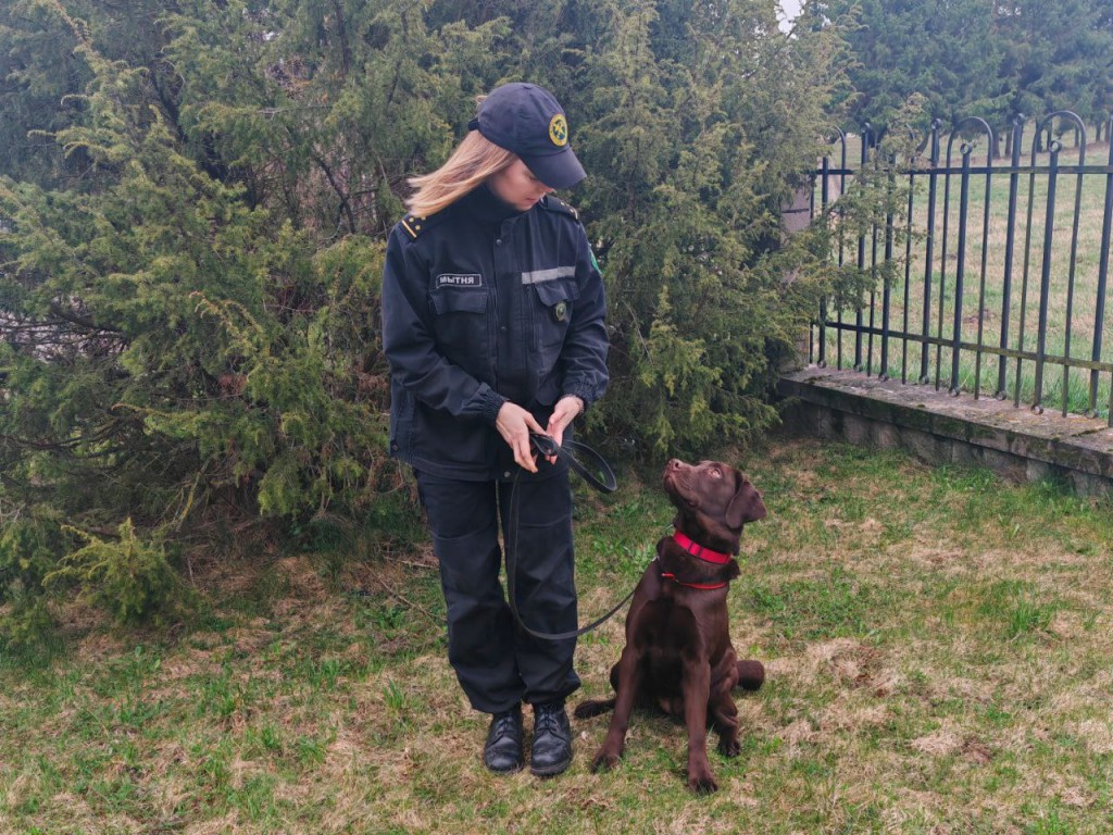 Служебная собака нашла гашиш в авто, ехавшем в Беларусь