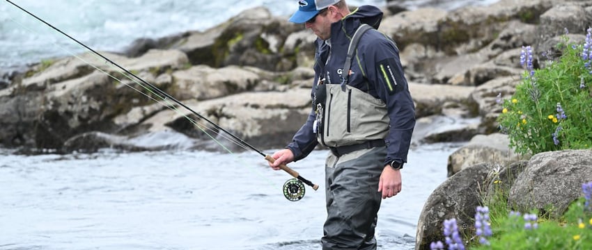 Discovery по-белорусски. Гомельчанин накормил ужа рыбой и снял процесс на видео