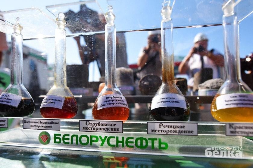 нефть гомельская область