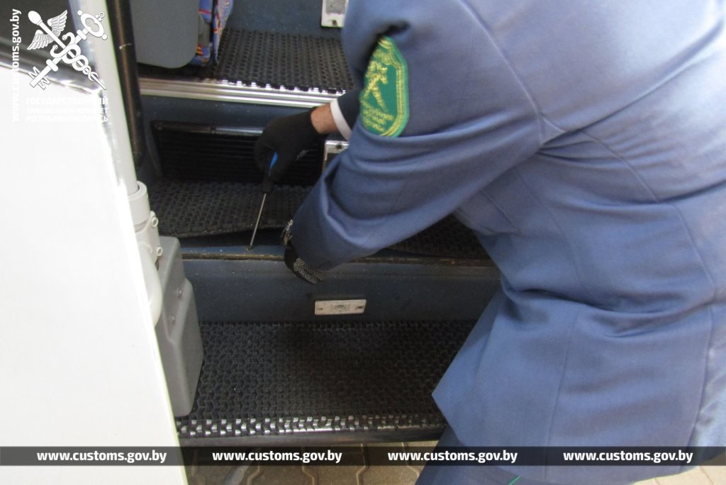 Брестские таможенники обнаружили 19 королевских питонов в рейсовом автобусе из Польши