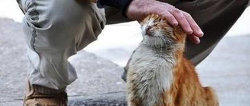 Этот день в истории – 17 февраля