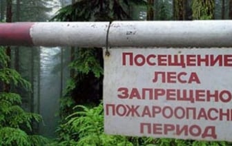 Ограничения на посещение лесов в Беларуси