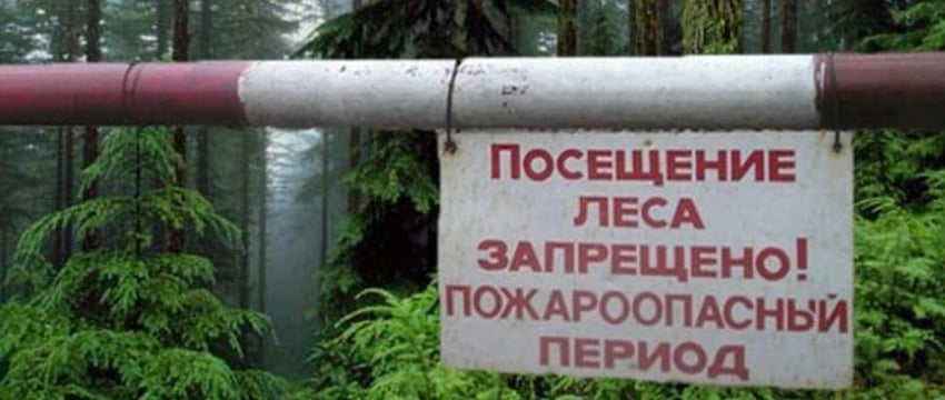 Ограничения на посещение лесов в Беларуси