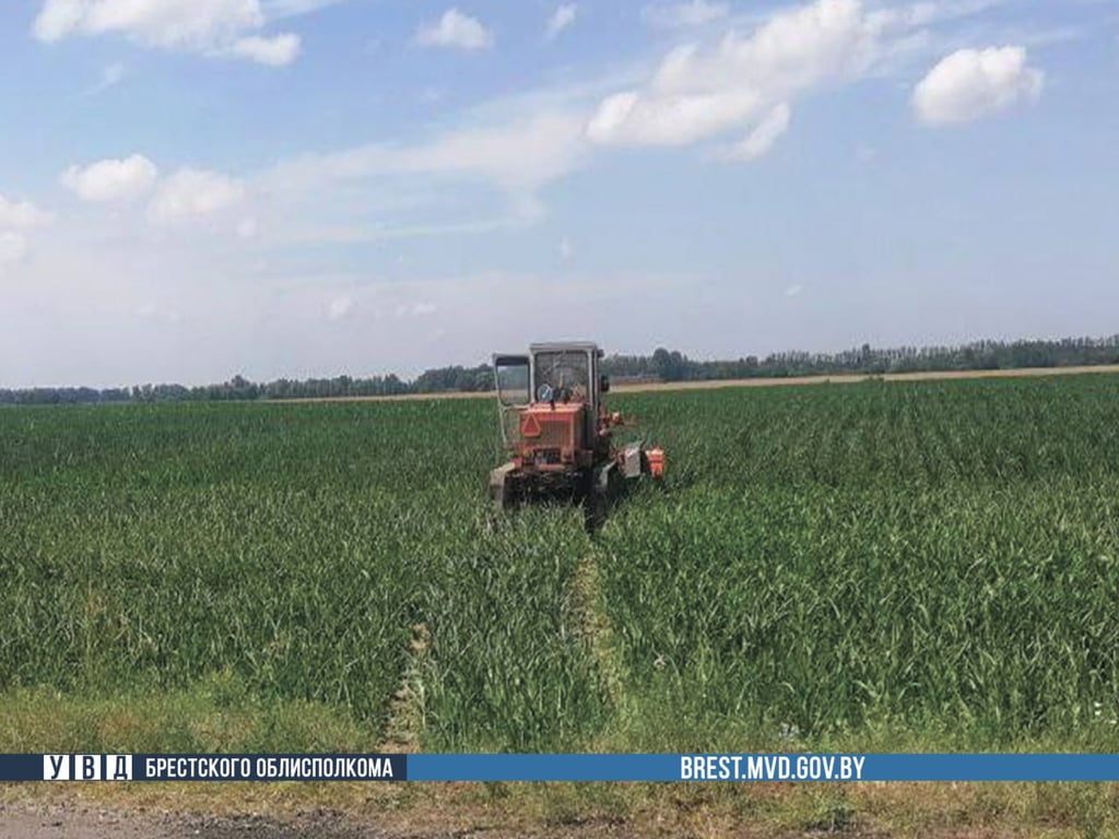 Возле Бреста в ДТП пострадала женщина и 6 ее детей