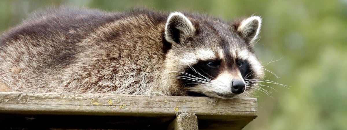 Apple выделила более €4 млн на поддержку обучения в области программирования в Китае