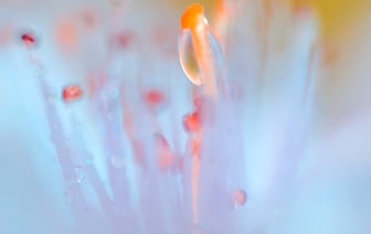 ГАИ напоминает водителям об осторожности из-за сильного снегопада