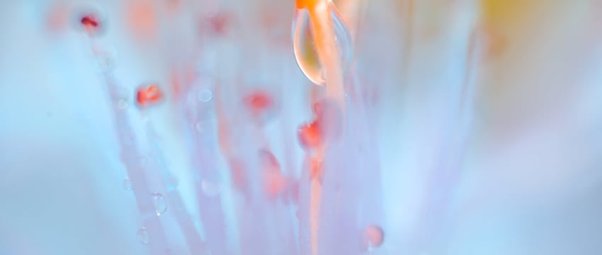 ГАИ напоминает водителям об осторожности из-за сильного снегопада