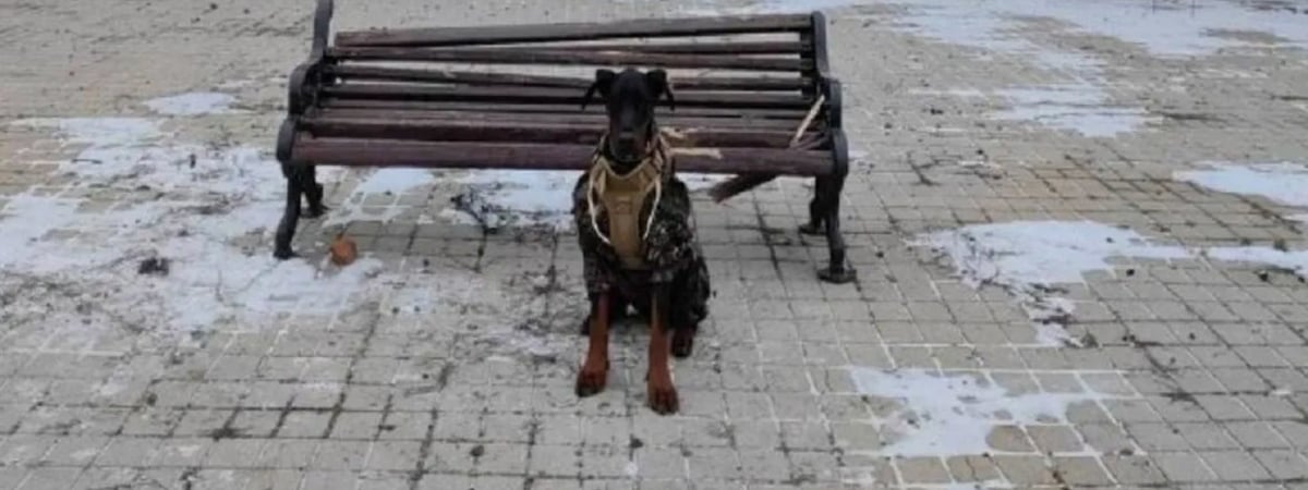 Полк Калиновского сообщил о раненых и погибшем Магнусе