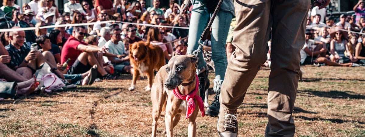 Великобритания направит более 2,5 тыс. военных на учения НАТО