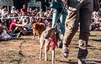 Великобритания направит более 2,5 тыс. военных на учения НАТО