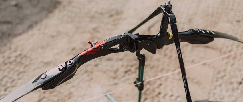 В Полоцкий лесхоз привезли 44 благородных оленя