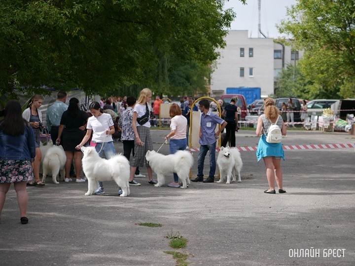 Фото носит иллюстративный характер